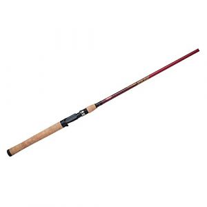 Berkley Cherrywood HD Casting