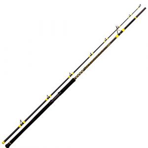 Black Cat Passion Pro DX Welsrute