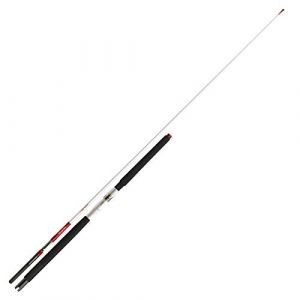 Daiwa Sealine X’Treame Interline