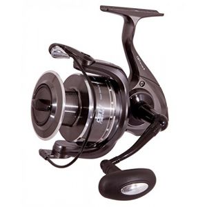 Sänger Cat Rewinder II