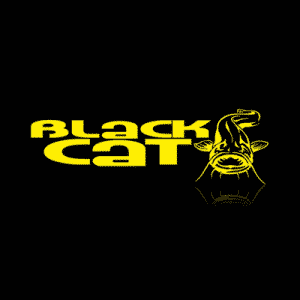 Black Cat